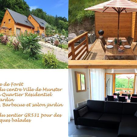Le Chalet La Cigogne Et Le Chamois เมาสแตร์ ภายนอก รูปภาพ
